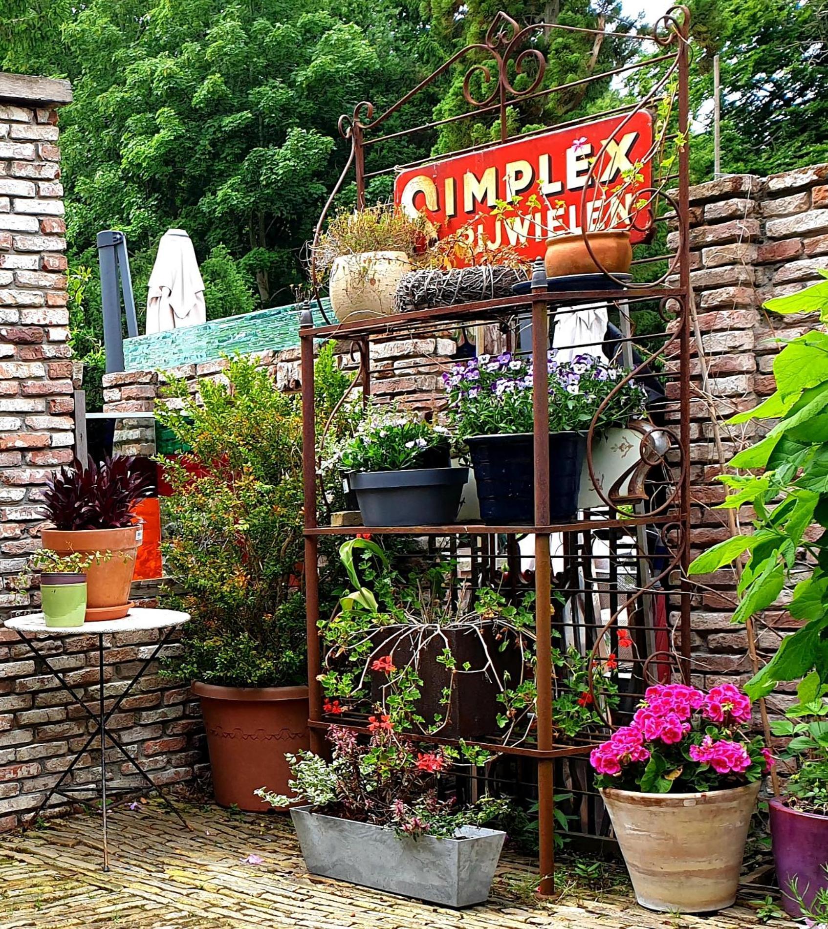 L'Amour Pur Schoorl Ruang foto