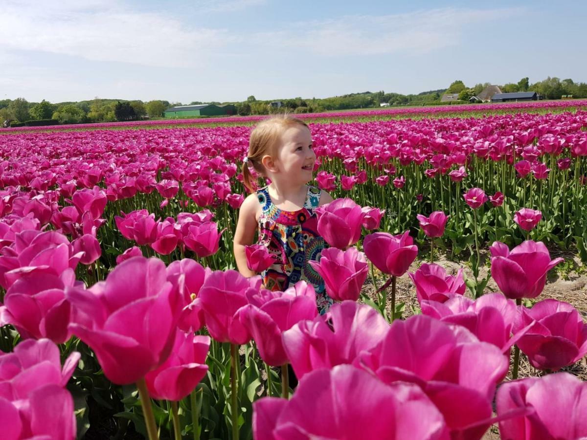 L'Amour Pur Schoorl Bagian luar foto
