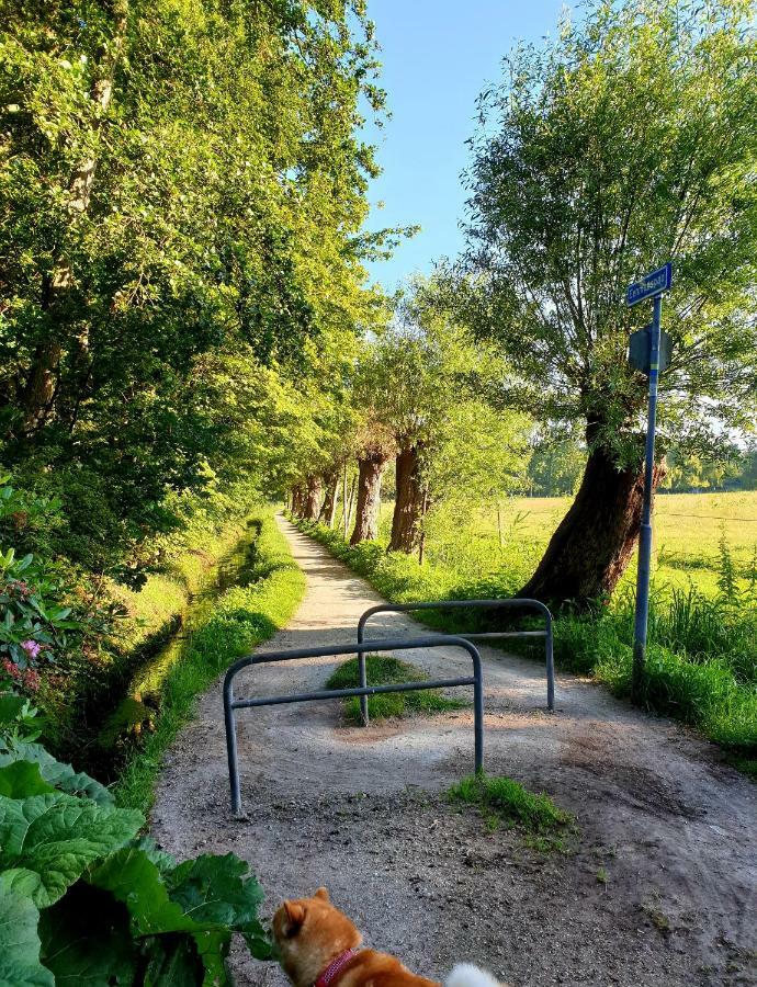 L'Amour Pur Schoorl Bagian luar foto