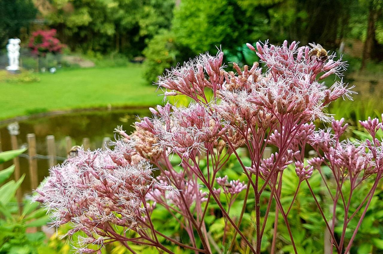L'Amour Pur Schoorl Bagian luar foto